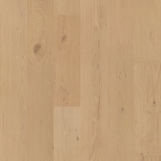 Picture of Shaw Floors - Cornerstone II Sun Glow