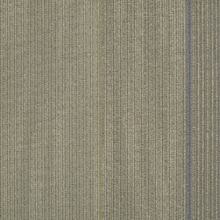 Picture of Shaw Contract - Tangle Appeal