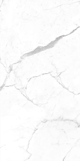 Picture of Decovita - Calacatta 12 x 24 Satin Matte Pearl