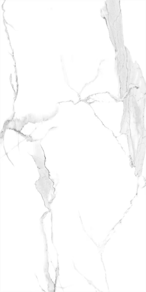 Picture of Decovita - Calacatta 24 x 48 Satin Matte White