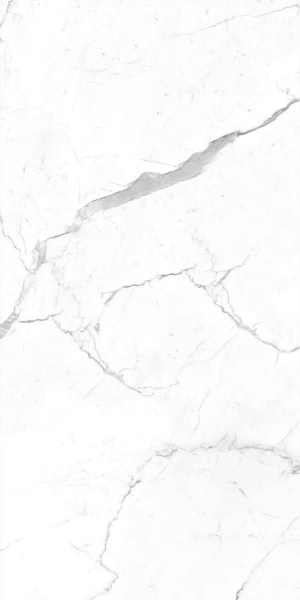 Picture of Decovita - Calacatta 24 x 48 Matte R11 Pearl