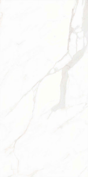 Picture of Decovita - Calacatta Suave 24 x 48 Polished Suave