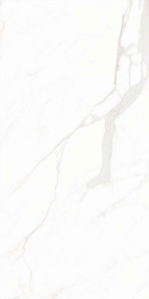 Picture of Decovita - Calacatta Suave 24 x 48 Polished Suave