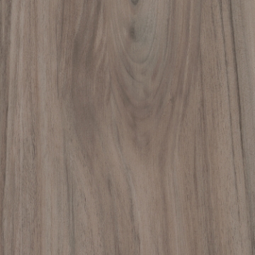 Picture of EF Contracting - Woodlands II Acacia