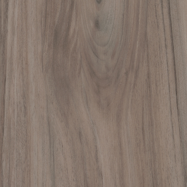 Picture of EF Contracting - Woodlands II Acacia