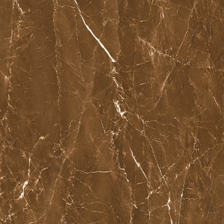 Picture of Decovita - Grigio 24 x 24 Polished Brown