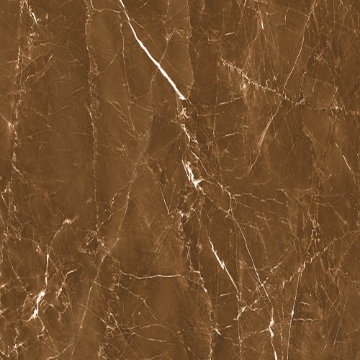 Picture of Decovita - Grigio 24 x 24 Polished Brown