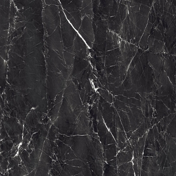 Picture of Decovita - Grigio 24 x 24 Polished Black