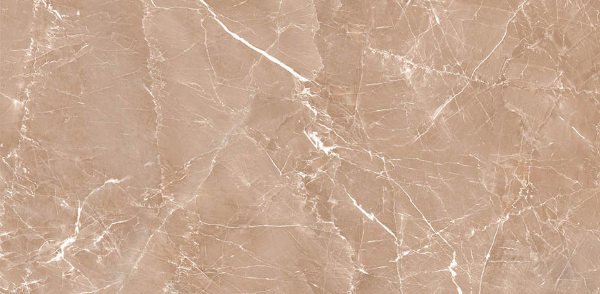 Picture of Decovita - Grigio 24 x 48 Polished Beige