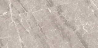 Picture of Decovita - Nambia 12 x 24 Polished Taupe