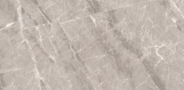 Picture of Decovita - Nambia 12 x 24 Satin Matte Taupe