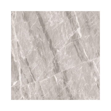 Picture of Decovita - Nambia 24 x 24 Polished Grey