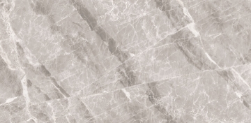 Picture of Decovita - Nambia 24 x 48 Polished Grey