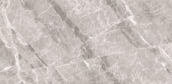 Picture of Decovita - Nambia 24 x 48 Polished Grey
