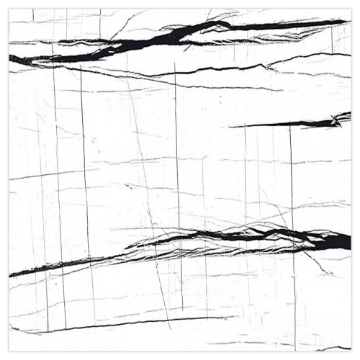 Picture of Decovita - Sahara Noir 24 x 24 Polished White