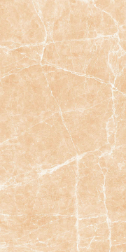 Picture of Decovita - Terre 24 x 48 Polished Beige