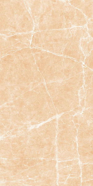 Picture of Decovita - Terre 24 x 48 Polished Beige