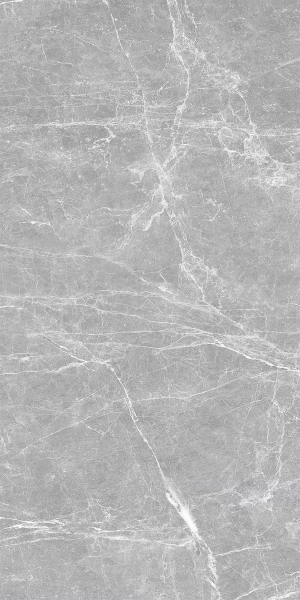 Picture of Decovita - Terre 24 x 48 Polished Grey