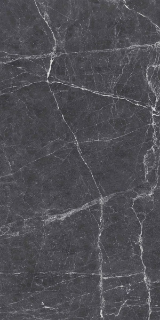 Picture of Decovita - Terre 24 x 48 Polished Black