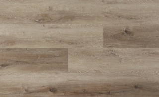 Picture of Stanton - Addiction 907