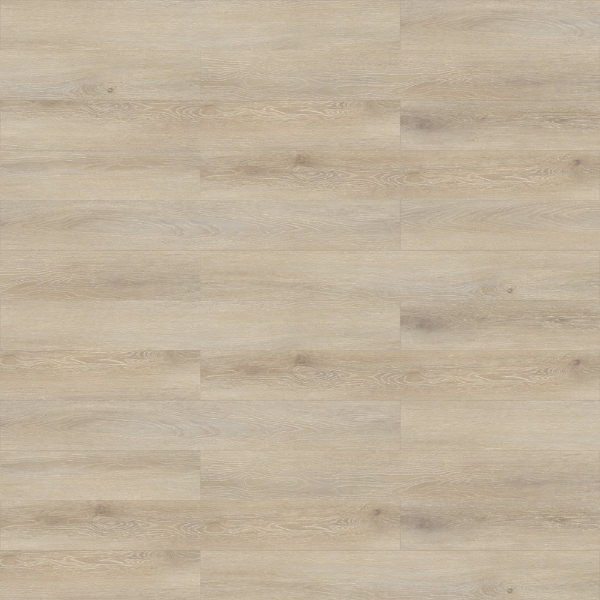 Picture of Shaw Contract - Origin Theory