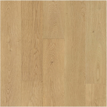 Picture of Ribadao - Fra-Grance Essence Forest