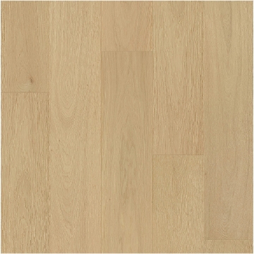 Picture of Ribadao - Fra-Grance Aroma Evoque