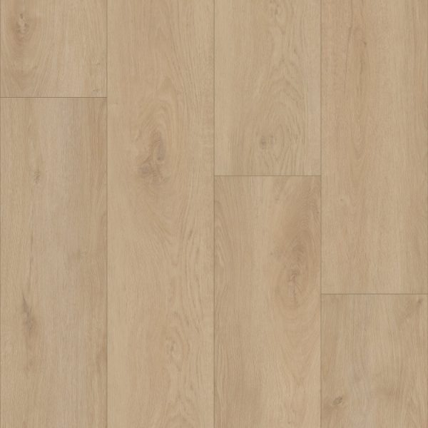 Picture of Shaw Floors - Homeward Wheatfield