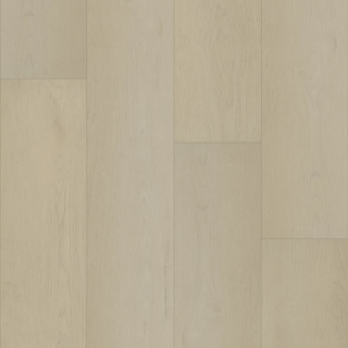 Picture of Shaw Floors - Homeward Subtle Beige