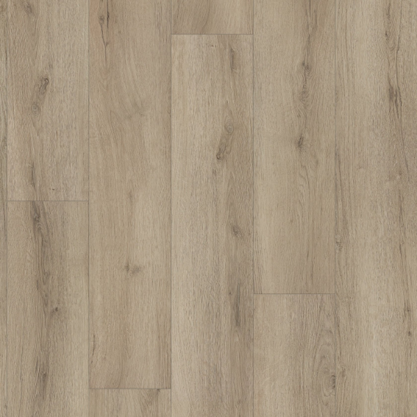Picture of Shaw Floors - Homeward Cashmere Grey