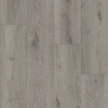 Picture of Shaw Floors - Homeward Tempest Grey