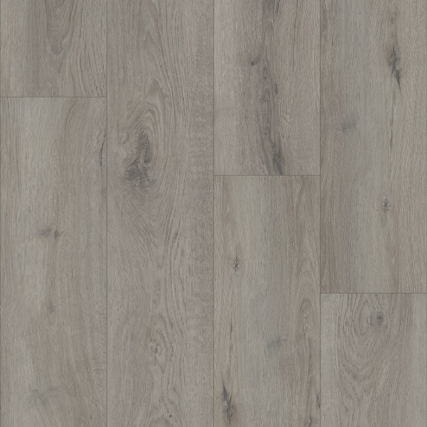 Picture of Shaw Floors - Homeward Tempest Grey