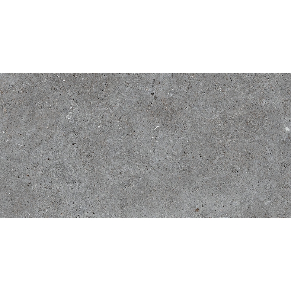 Picture of Roca - Stone Basel 24 x 48 Grafito