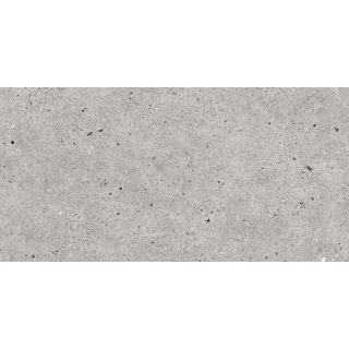 Picture of Roca - Stone Basel 24 x 48 Gris