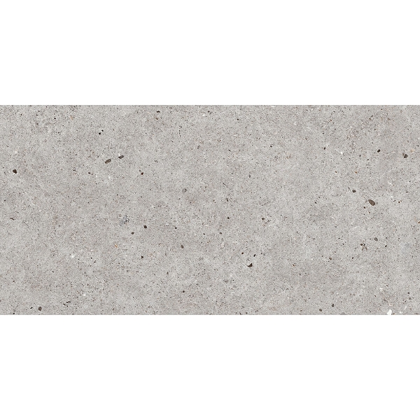 Picture of Roca - Stone Basel 24 x 48 Gris