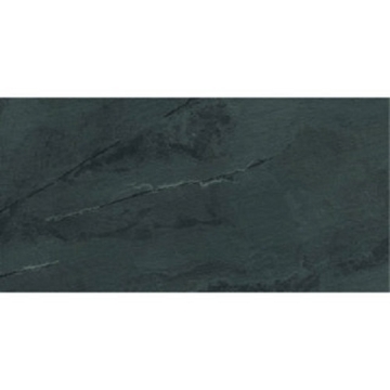 Picture of Roca - Terranova 12 x 24 Negro