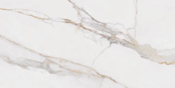 Picture of Roca - Calacatta Oro 12 x 24 Polished Marble