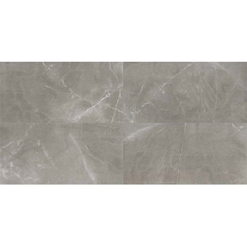 Picture of Milestone - Luxury 24 x 48 Matte 8mm Amani Grey
