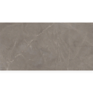 Picture of Milestone - Luxury 24 x 48 Polished 8mm Amani Grey