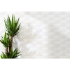 Picture of Emser Tile - Express Glare White