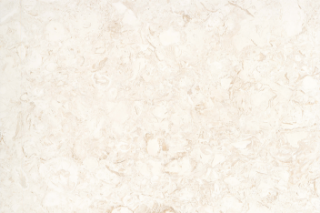 Picture of Emser Tile - Extero Shell Limestone