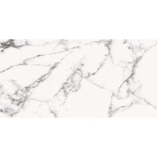 Picture of Roca - Slabs 24 x 48 Unpolished Carrara White