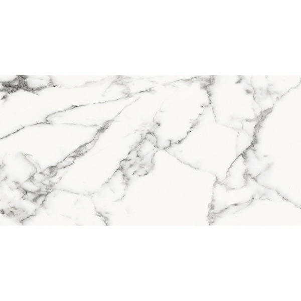 Picture of Roca - Slabs 24 x 48 Unpolished Carrara White