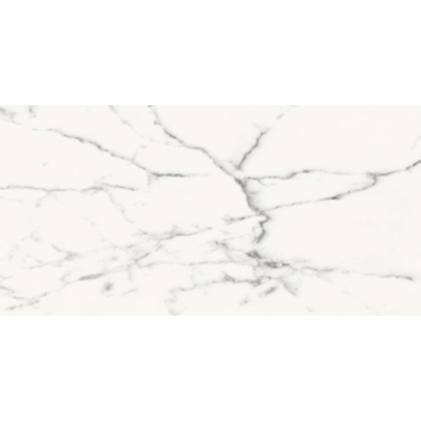 Picture of Roca - Slabs 24 x 48 Polished Carrara White
