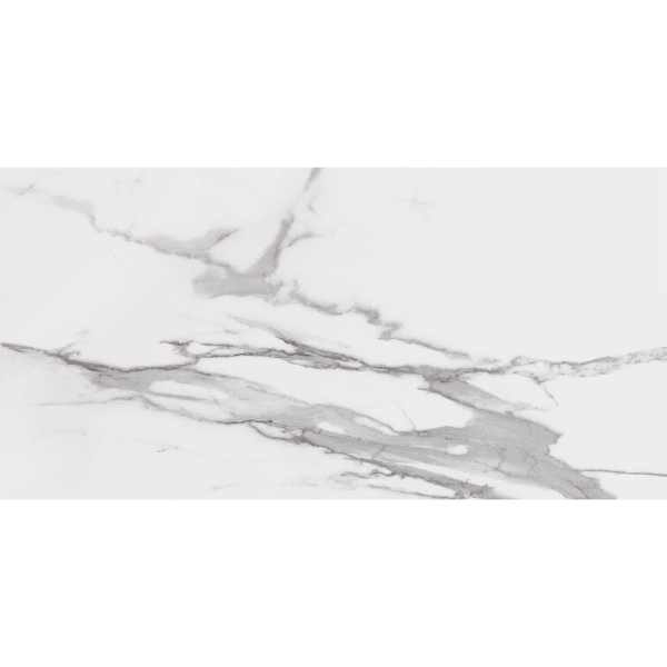Picture of Roca - Slabs 24 x 48 Polished Calacatta Light