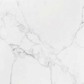 Picture of Roca - Slabs 48 x 48 Polished Carrara White
