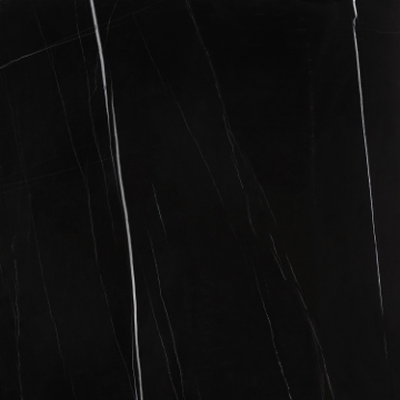 Picture of Roca - Slabs 48 x 48 Polished Sahara Noir