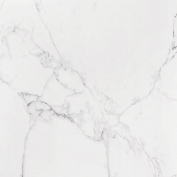 Picture of Roca - Slabs 48 x 48 Unpolished Carrara White