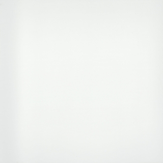 Picture of Emser Tile - Style II 24 x 24 Pure White