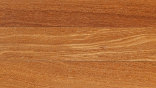 Picture of IndusParquet - Classico Engineered 5 Brazilian Teak